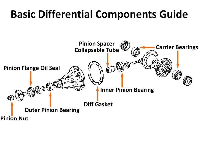 pinion bearing
